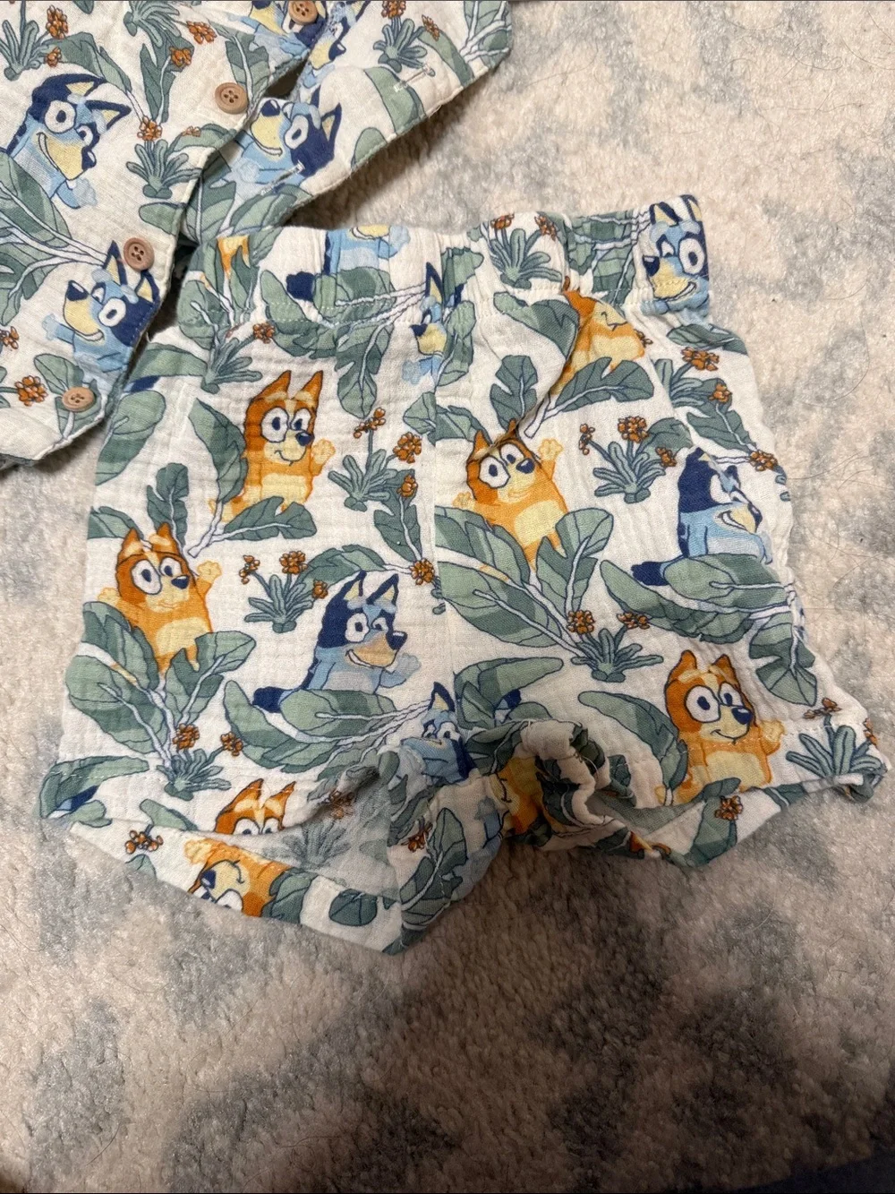 Kids bluey summer set